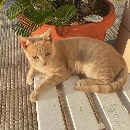 Il Giardino Stellato 4*