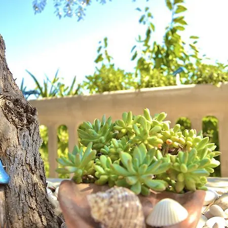 Alojamento de Acomodação e Pequeno-almoço Il Giardino Stellato