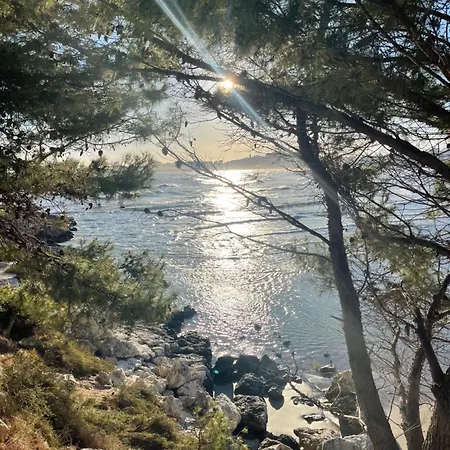 Il Giardino Stellato Bed & Breakfast Vieste