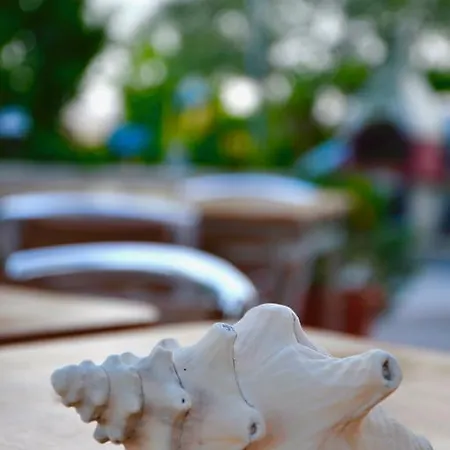 Il Giardino Stellato Bed & Breakfast