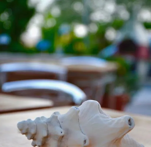 Il Giardino Stellato Bed & Breakfast